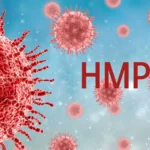 Understanding HMPV: A Rising Threat to Respiratory Health